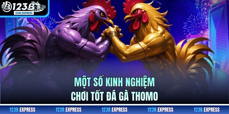 Một số kinh nghiệm chơi tốt đá gà Thomo